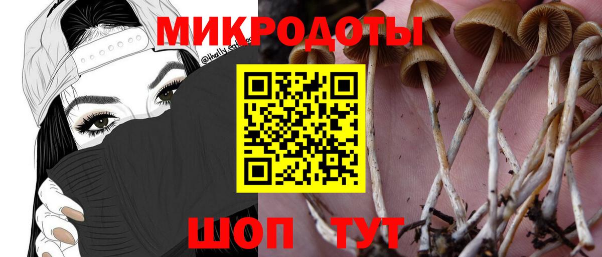 Ульяновск  Псилоцибиновые грибы Psilocybe  Вход с VPN 